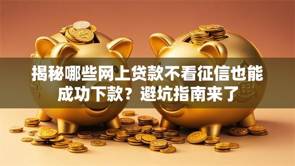 揭秘哪些网上贷款不看征信也能成功下款？避坑指南来了