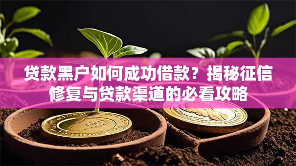 贷款黑户如何成功借款？揭秘征信修复与贷款渠道的必看攻略