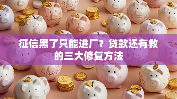 征信黑了只能进厂？贷款还有救的三大修复方法