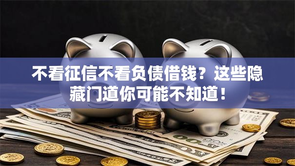 不看征信不看负债借钱？这些隐藏门道你可能不知道！