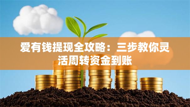 爱有钱提现全攻略：三步教你灵活周转资金到账