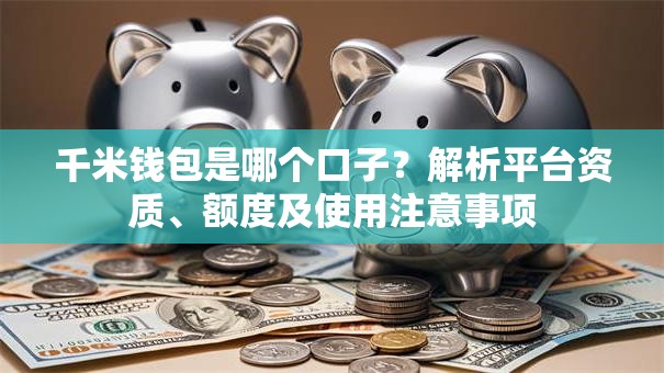 千米钱包是哪个口子？解析平台资质、额度及使用注意事项