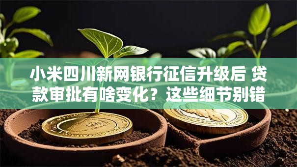 小米四川新网银行征信升级后 贷款审批有啥变化？这些细节别错过