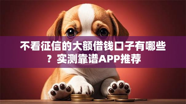 不看征信的大额借钱口子有哪些？实测靠谱APP推荐