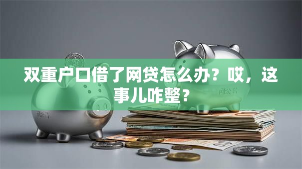 双重户口借了网贷怎么办？哎，这事儿咋整？