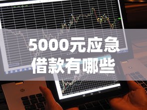 5000元应急借款有哪些渠道？不看征信也能快速到账的方法解析