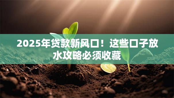 2025年贷款新风口！这些口子放水攻略必须收藏
