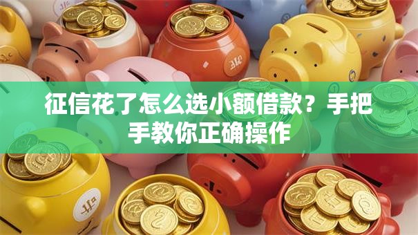 征信花了怎么选小额借款？手把手教你正确操作