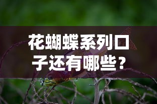 花蝴蝶系列口子还有哪些？最新口子大盘点