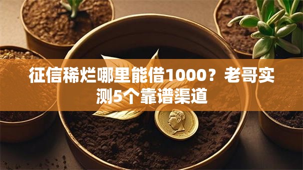 征信稀烂哪里能借1000？老哥实测5个靠谱渠道
