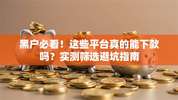 黑户必看！这些平台真的能下款吗？实测筛选避坑指南