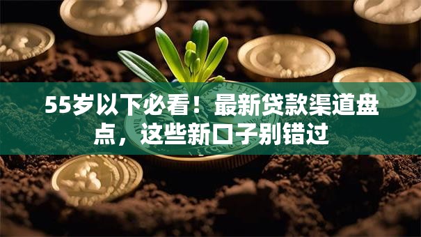 55岁以下必看！最新贷款渠道盘点，这些新口子别错过