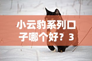 小云豹系列口子哪个好？3招教你选出靠谱借贷平台