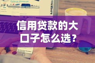 信用贷款的大口子怎么选？避坑指南+技巧全解析