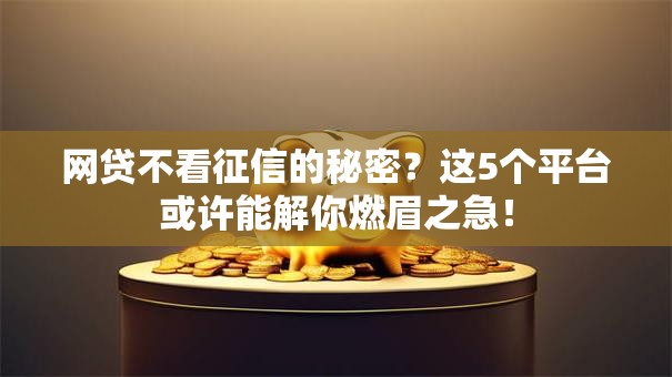 网贷不看征信的秘密？这5个平台或许能解你燃眉之急！