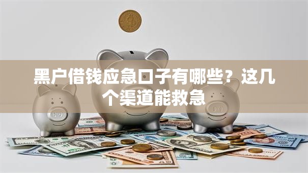 黑户借钱应急口子有哪些？这几个渠道能救急