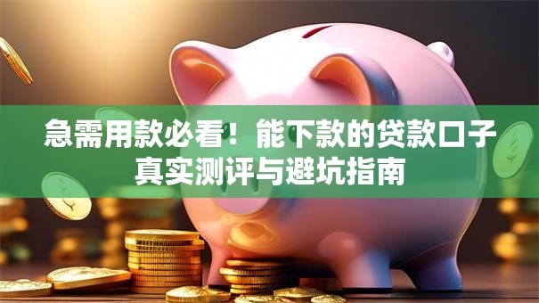 急需用款必看！能下款的贷款口子真实测评与避坑指南