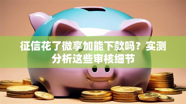 征信花了微享加能下款吗？实测分析这些审核细节