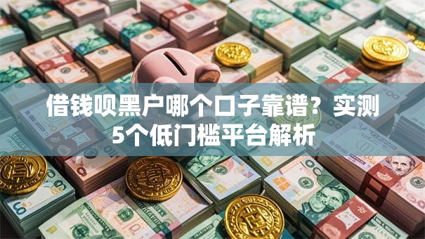 借钱呗黑户哪个口子靠谱？实测5个低门槛平台解析