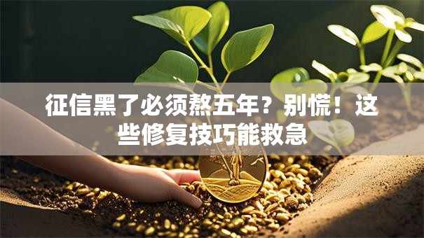 征信黑了必须熬五年？别慌！这些修复技巧能救急