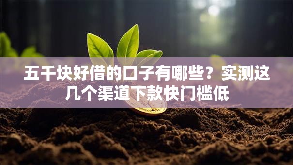 五千块好借的口子有哪些？实测这几个渠道下款快门槛低