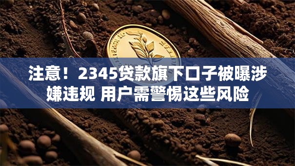 注意！2345贷款旗下口子被曝涉嫌违规 用户需警惕这些风险
