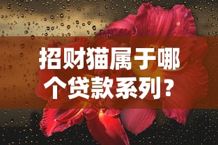 招财猫属于哪个贷款系列？深度解析口子背景与产品特征