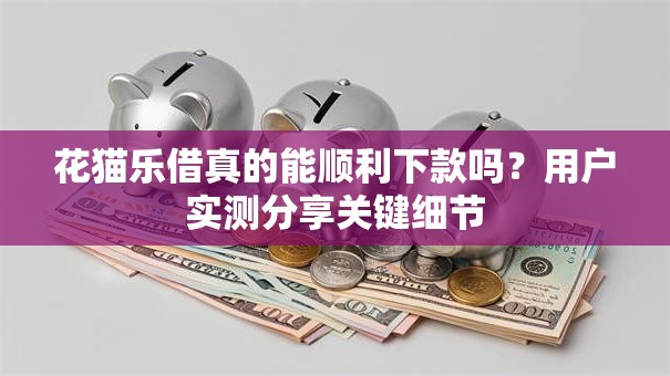 花猫乐借真的能顺利下款吗？用户实测分享关键细节