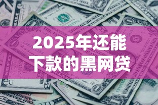 2025年还能下款的黑网贷口子有哪些？这几点必须警惕！