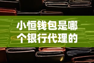 小恒钱包是哪个银行代理的？背后合作机构大揭秘