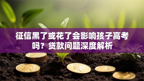 征信黑了或花了会影响孩子高考吗？贷款问题深度解析