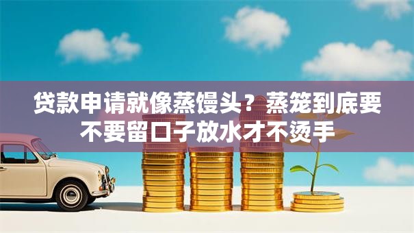 贷款申请就像蒸馒头？蒸笼到底要不要留口子放水才不烫手