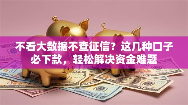 不看大数据不查征信？这几种口子必下款，轻松解决资金难题