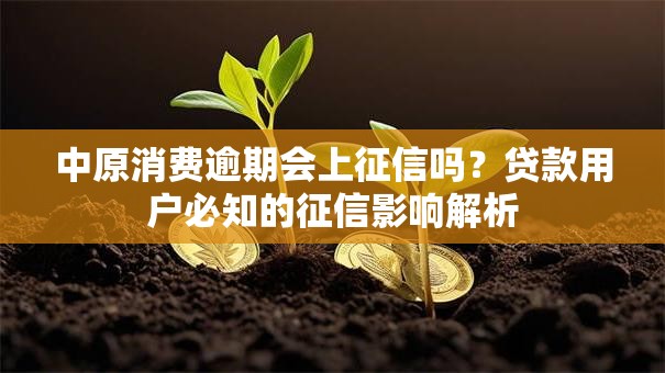 中原消费逾期会上征信吗？贷款用户必知的征信影响解析
