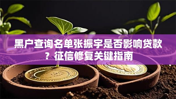 黑户查询名单张振宇是否影响贷款？征信修复关键指南