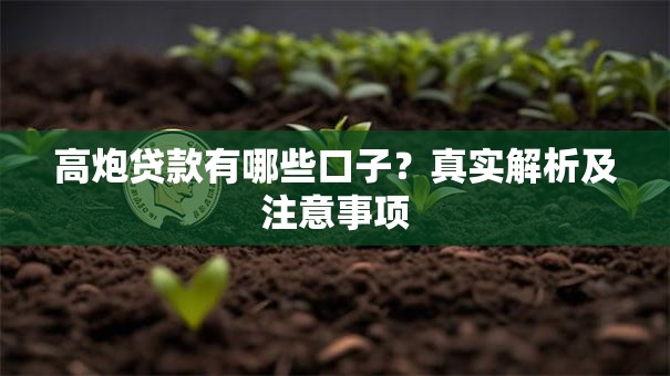 高炮贷款有哪些口子？真实解析及注意事项