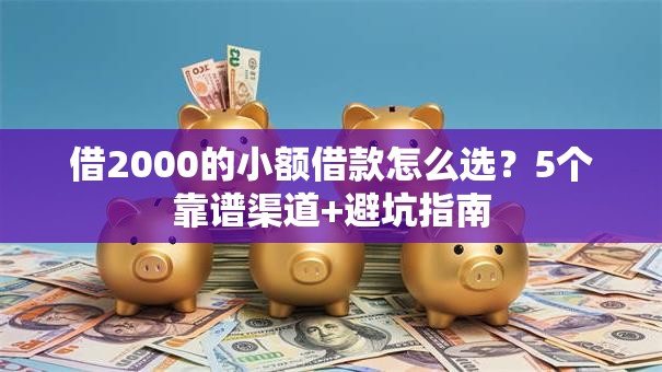 借2000的小额借款怎么选？5个靠谱渠道+避坑指南