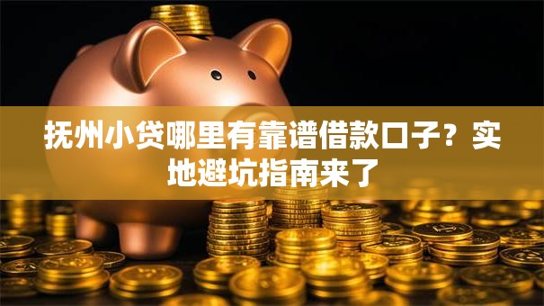 抚州小贷哪里有靠谱借款口子？实地避坑指南来了