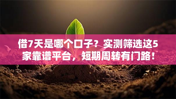 借7天是哪个口子？实测筛选这5家靠谱平台，短期周转有门路！