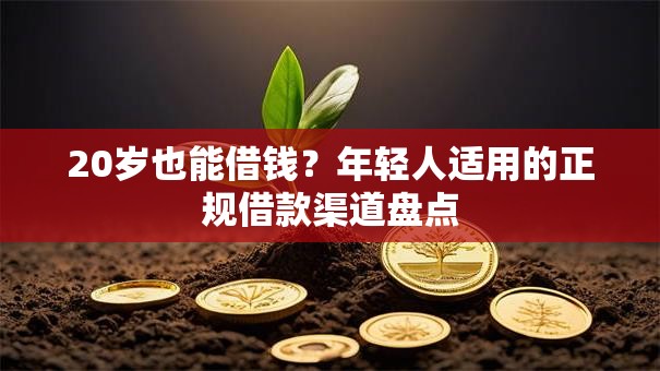 20岁也能借钱？年轻人适用的正规借款渠道盘点