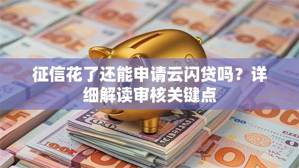 征信花了还能申请云闪贷吗？详细解读审核关键点