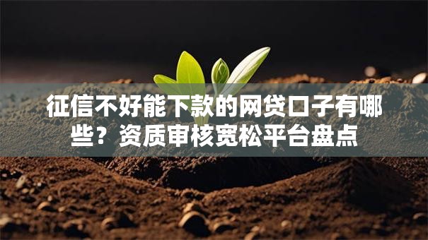 征信不好能下款的网贷口子有哪些？资质审核宽松平台盘点