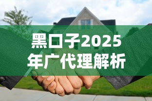 黑口子2025年广代理解析：贷款新趋势与风险预警