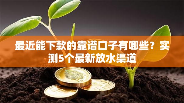 最近能下款的靠谱口子有哪些？实测5个最新放水渠道