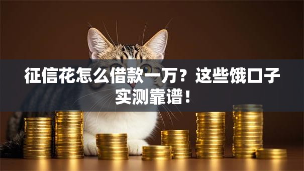 征信花怎么借款一万？这些饿口子实测靠谱！