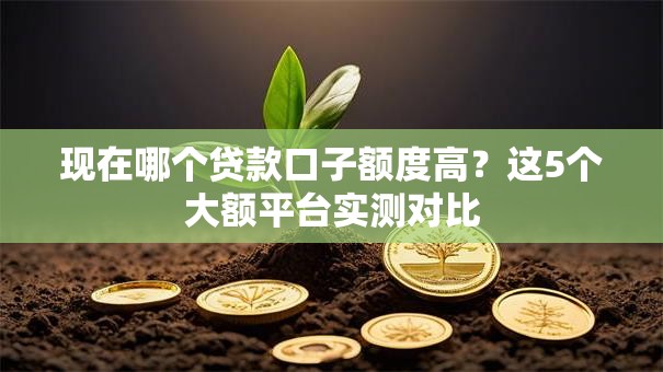 现在哪个贷款口子额度高？这5个大额平台实测对比