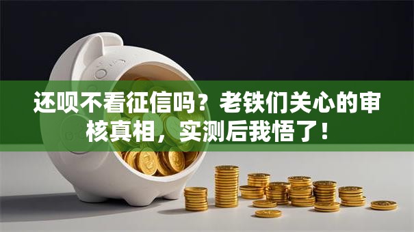 还呗不看征信吗？老铁们关心的审核真相，实测后我悟了！