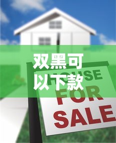 双黑可以下款的口子可信不？真实情况大揭秘！