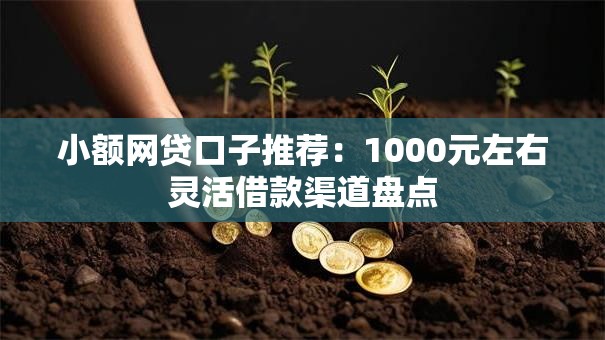 小额网贷口子推荐：1000元左右灵活借款渠道盘点