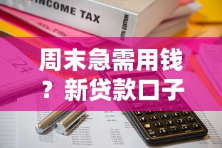 周末急需用钱？新贷款口子秒批流程大揭秘，轻松搞定资金周转！